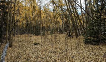 0 Snow Cap Peaks Rd, Alma, CO 80402