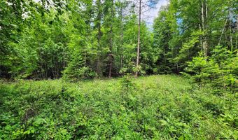 13727 Big Hawk Dr, Bigfork, MT 59911
