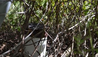 000 Hwy 14, Ava, MO 65608