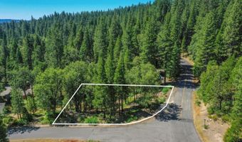 2690 Cheyenne Way, Arnold, CA 95223