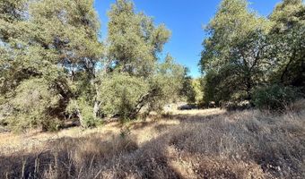 41902 Woodward Way, Ahwahnee, CA 93601