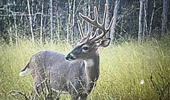 001 Deer Run Rd, Leakesville, MS 39451