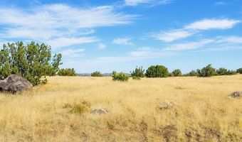 Arapaho, Concho, AZ 85924