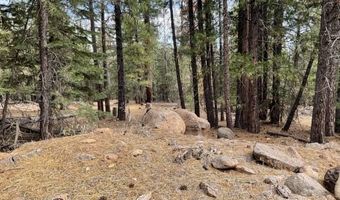 N. Overland Dr, Alturas, CA 96101