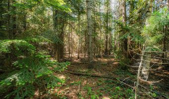 Nna Log Cabin Rd, Bonners Ferry, ID 83805