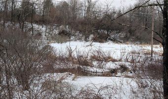 Algerine Street, Afton, NY 13730