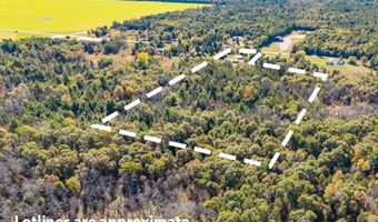 1128 County Road C, Arkdale, WI 54613