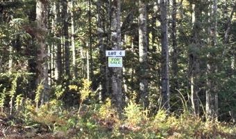 Atwood Road lot 4, Brighton, VT 05846