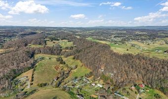 225 Mary Lamons Rd, Afton, TN 37616