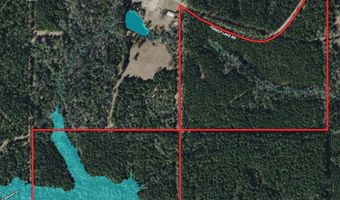 259 Forest Lake Rd, Beaumont, MS 39423