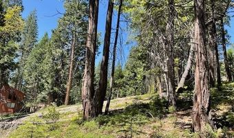 1474 Moran Rd, Arnold, CA 95223