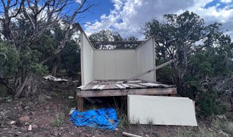 460 461 CR8301, Concho, AZ 85924