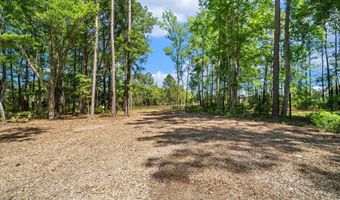4663 Causey Pond Rd, Awendaw, SC 29429