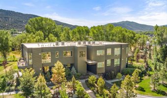 103 Willits Way 201, Basalt, CO 81621