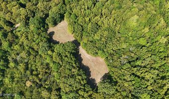 Putnam Road, Belzoni, MS 39038