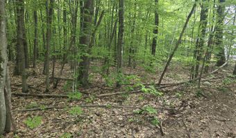 5 Panaway Dr 11-1-3, Campton, NH 03223