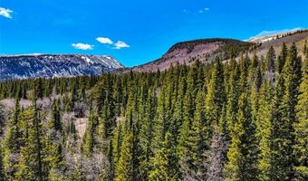 270 Co Rd 667 Lot 0, Alma, CO 80440
