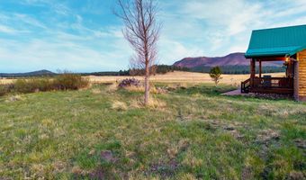216 CR 2311, Alpine, AZ 85920