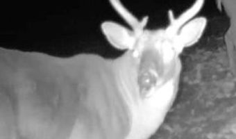 1037 Cr 300, Big Creek, MS 38914