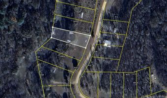 35 TOWBOAT Ln Lot 35, Adamsville, TN 38310