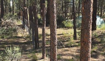 Smith Drive lot 5, Beatty, OR 97621