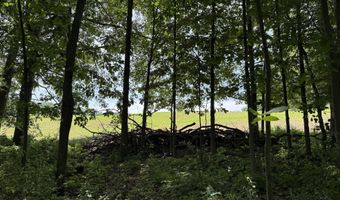 28 Mile Rd, Albion, MI 49224