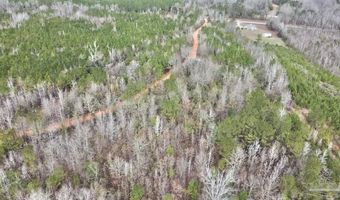 21000 Block Hwy 21, Beatrice, AL 36425