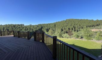 1041 HARMONY CREEK Dr, Afton, WY 83110