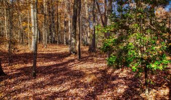 54 E Ridge Rd, Allardt, TN 38504