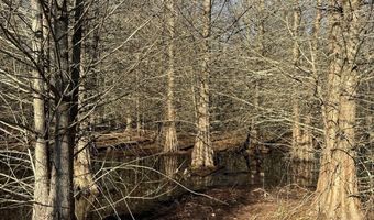 6075 Curtis Rd, Batesville, MS 38606