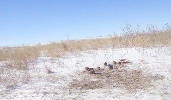 3671 Avenue V, Albert, KS 67511