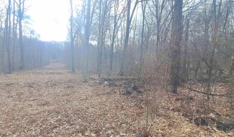 Glade Run Road, Albright, WV 26519