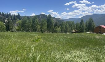 1239 McLaughlin Ln, Basalt, CO 81621