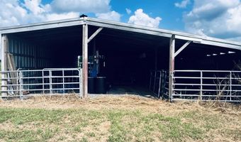 970 Ross Raines, Albertville, AL 35951