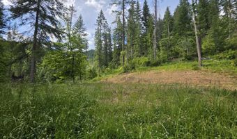 480 Dunn Peak Rd, Avery, ID 83802