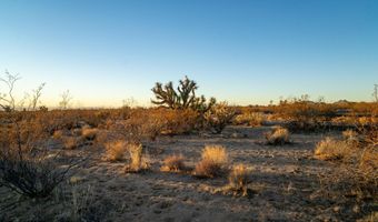 2358 S Cattle Crossing Rd, Yucca, AZ 86438