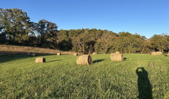 9999 Terrell's Creek Rd, Annville, KY 40402