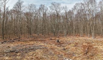 Tripp Hollow Road lot 12-1, Brooklyn, CT 06234