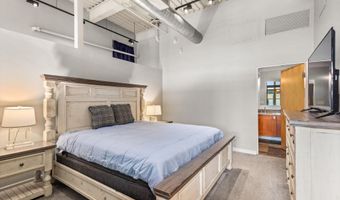 231 Robinson St 310, Basalt, CO 81621
