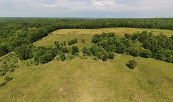 County Road 113, Alton, MO 65606