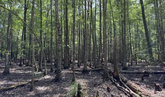 Fox Paw Court, Branchville, SC 29432