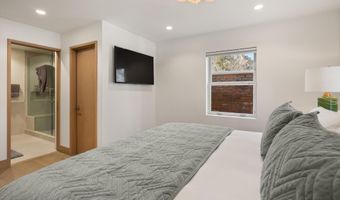 447 E Cooper Ave 1, Aspen, CO 81611