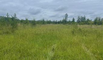00 Belcher Ln, Bainbridge, GA 39817