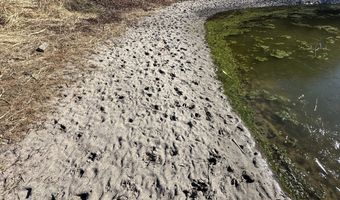 0 Bivalve Lodge Rd, Bivalve, MD 21814