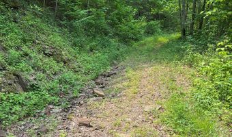 88 Acres Bolden Br, Andrews, NC 28901
