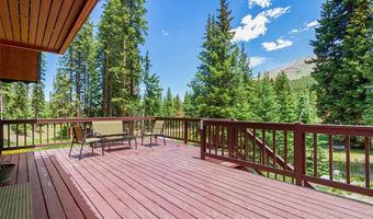 16 Bemrose Trl, Blue River, CO 80424