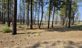 Parazoo Trail Lot 2 Block 8, Bly, OR 97622
