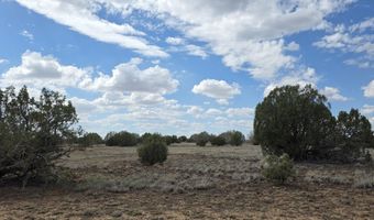 64 Antelope Run, Ash Fork, AZ 86320