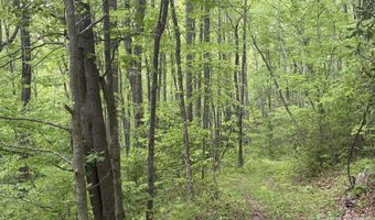 999999 Harwood Rd 2, Barnardsville, NC 28709