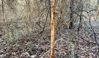0002 CR-290, Asbury, MO 64832